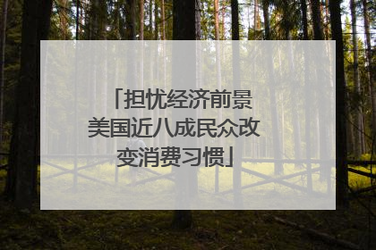 担忧经济前景 美国近八成民众改变消费习惯